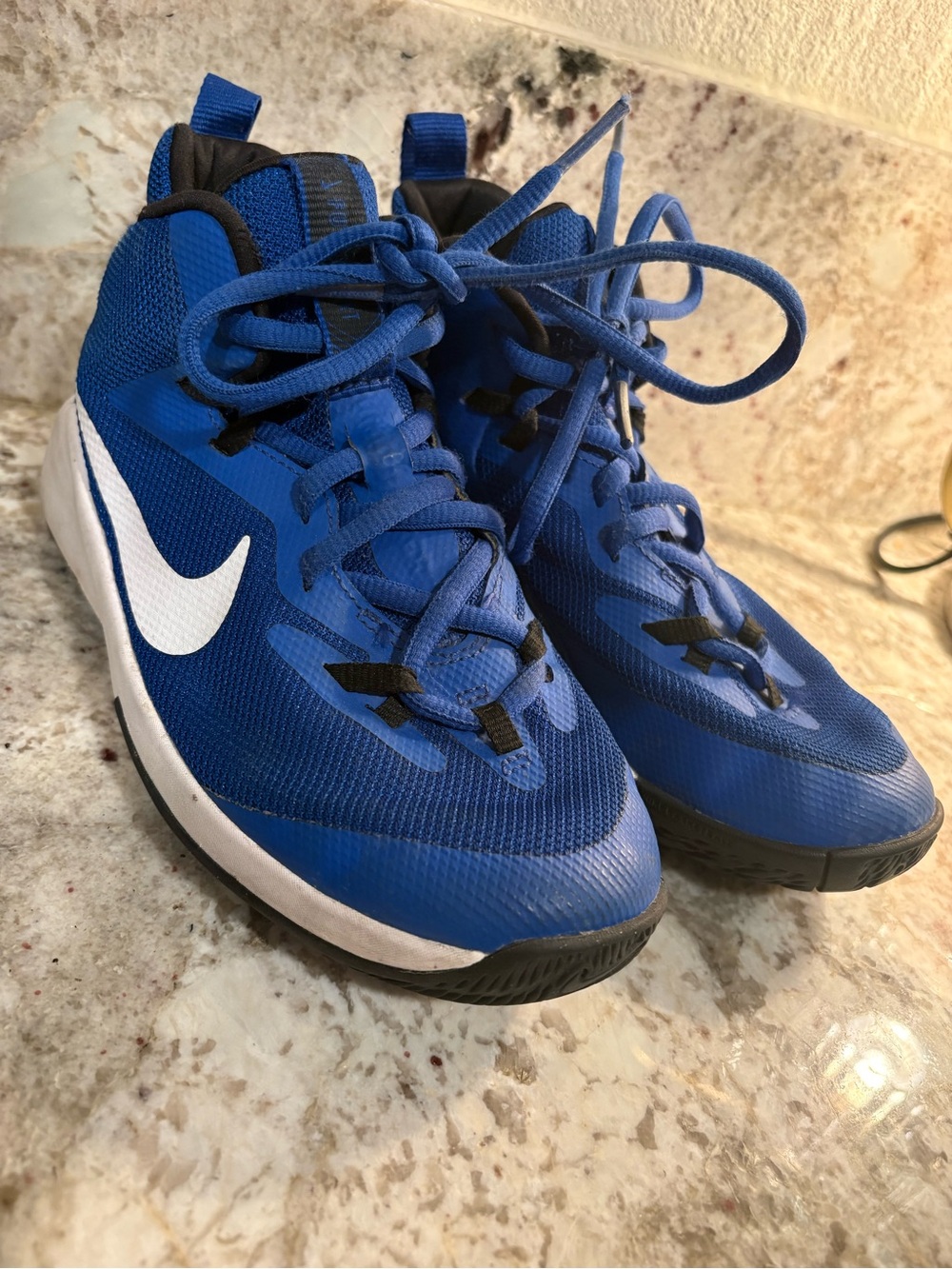 Nike Kids Blue Basketball Sneakers with White Swoosh